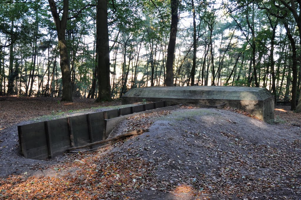 Old bunker in the forrest by Icepick