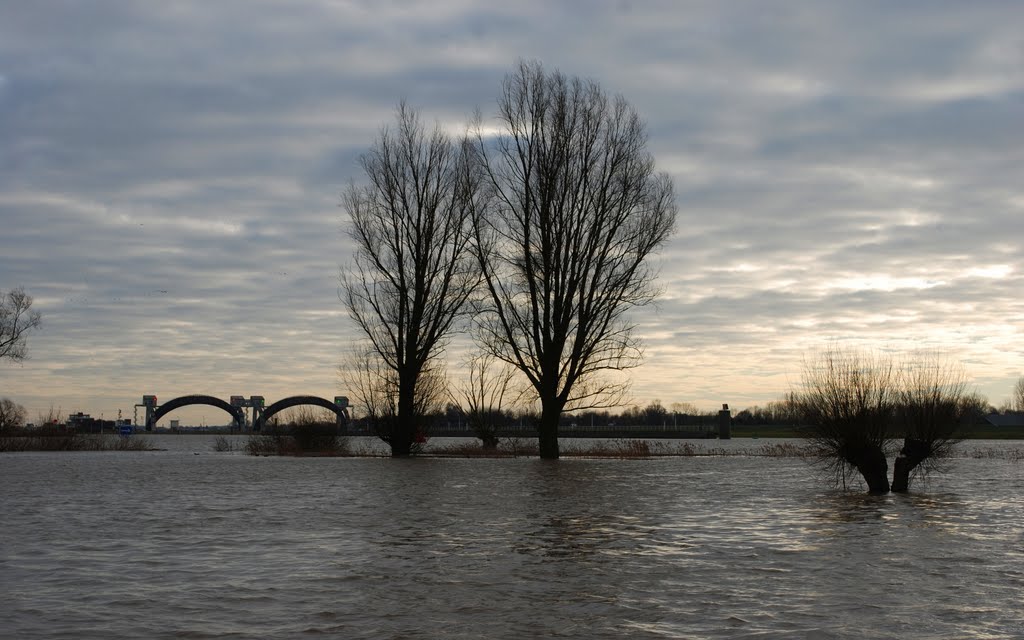 Wir bekommen jetzt viel Wasser aus Deutschland und der Schweiz. Der Sommerdeiche sind bereits Unterwasser und nicht mehr sichtbar. Bäume zwischen Sommer und Winterdeiche sind halb Unterwasser. by Hans J.S.C. Jongstra