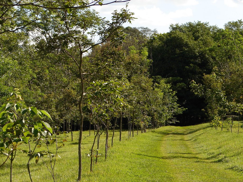 Parque Estadual de Amaporã by Leo Burgel Filho