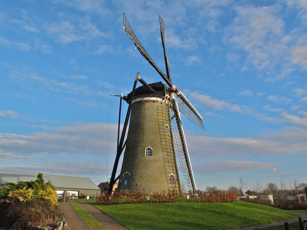 Molen van Nieuwvliet by stefflater