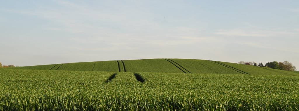 Holsteinische Schweiz by SP870DI