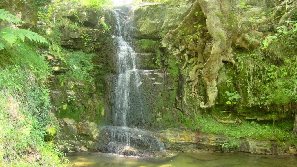 Wasserfall by Steffen Ruoff