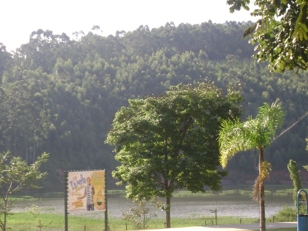 Vista do Parque da Cidade by wilson neris penheir…