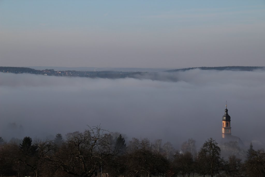 Blick auf das aus dem Nebel auftauchende Mönchberg am Mittag des 17.01.2011, hinten links einige Häuser von Streit by kdh865