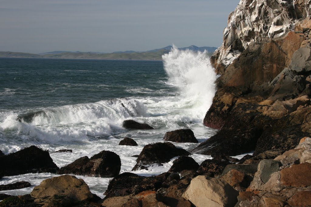 Morro Bay, January 2011 by Kevin.Daniels