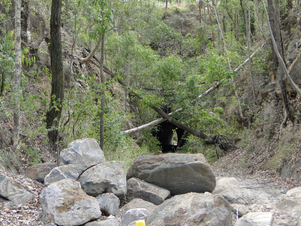 Richmond Vale #1 Tunnel by Adrian Lehmann