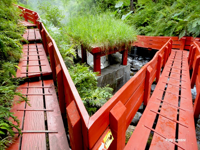 Termas Geométricas, Coñaripe, Chile. by Patricia Santini