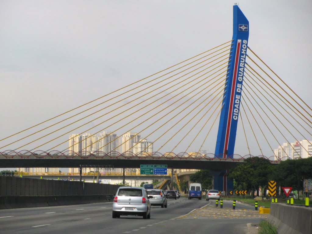 Ponte estaiada sobre a rodovia Dutra - Guarulhos, SP, Brasil. by André Bonacin