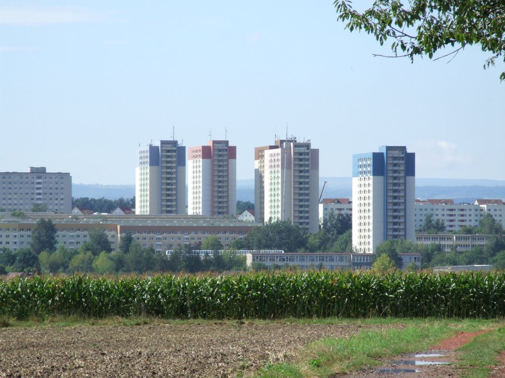 Pirna Sonnenstein - Blick von der Harte by Till H. Kleinert