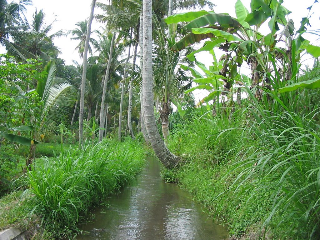 174_7497 Ubud by Cola en Pia