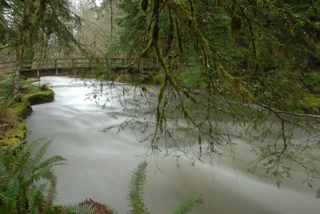 Marion County, OR, USA by martinangelo