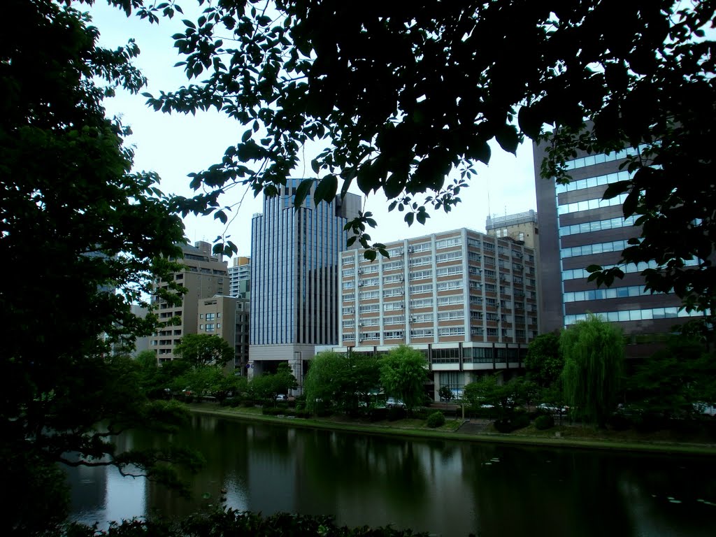 舞鶴公園 by warabihatogaya