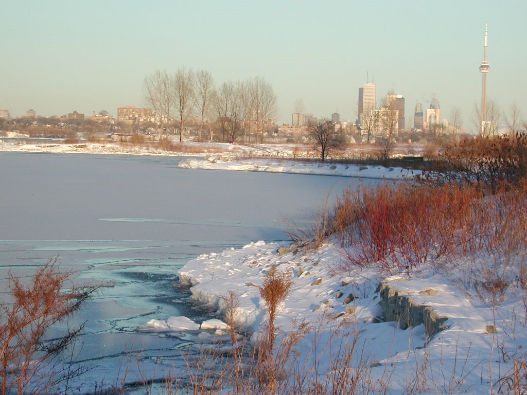 Toronto Skyline in Winter from west end by H. Reinsch