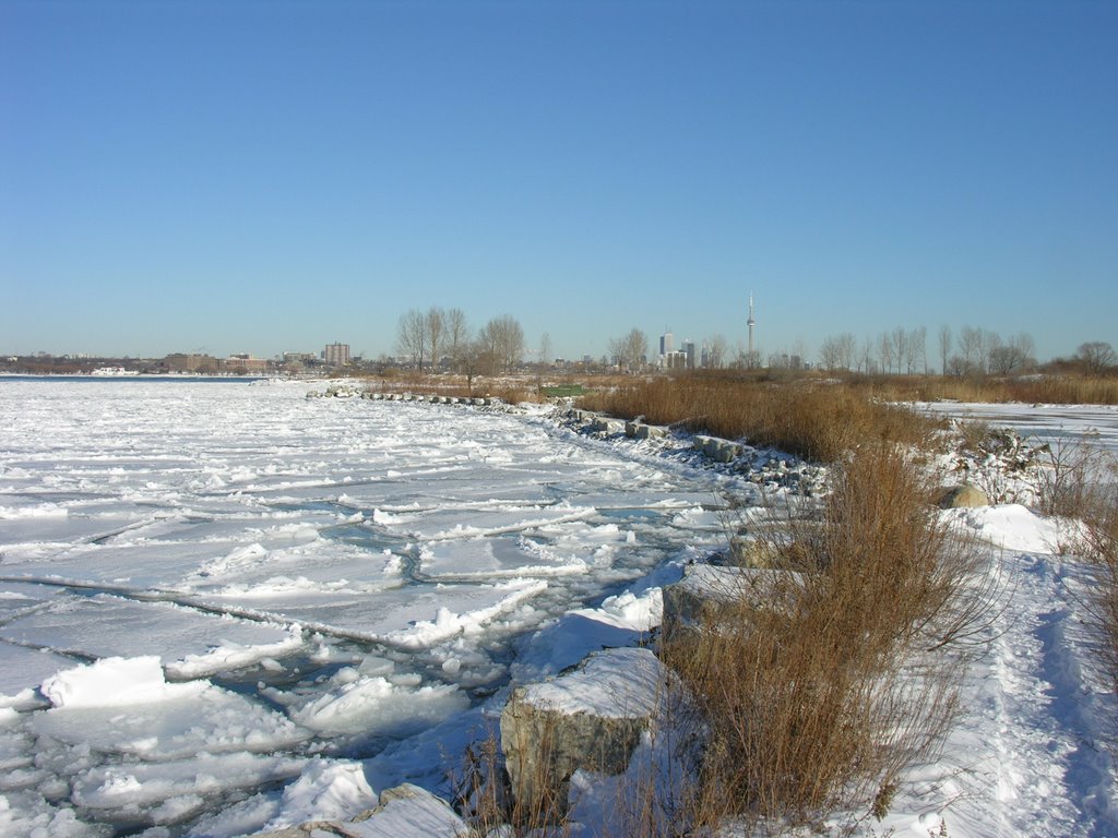 Lake Ontario, Winter broken ice by H. Reinsch