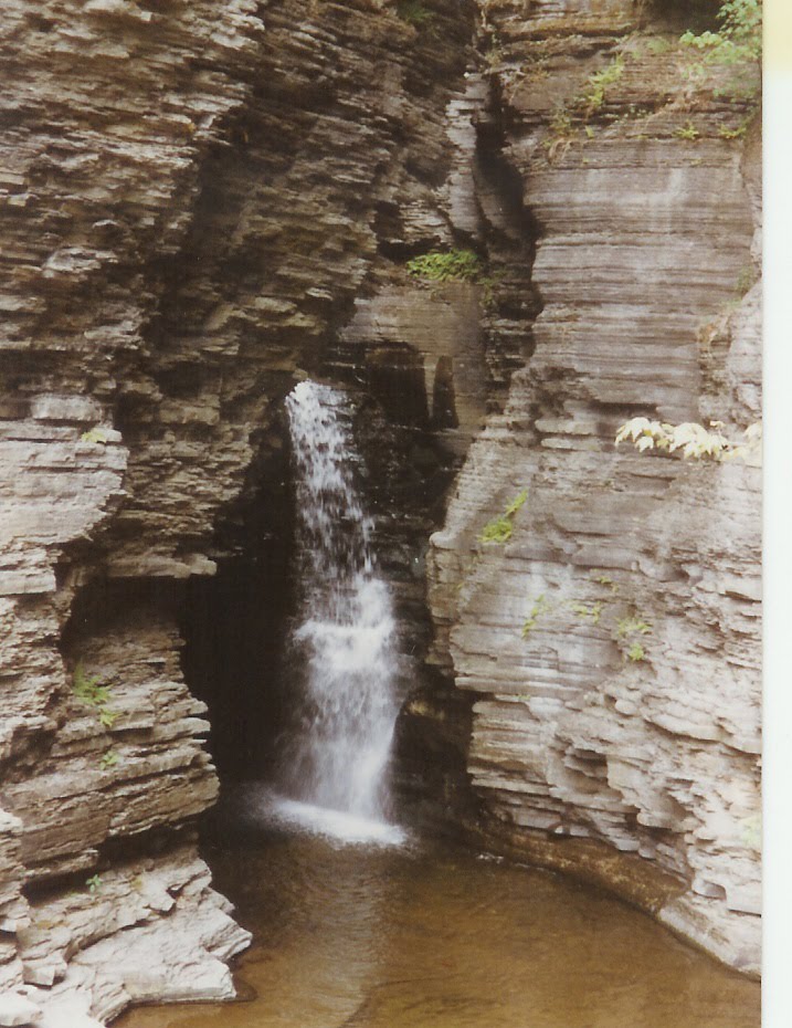 Watkins Glen Park by Ron Shawley