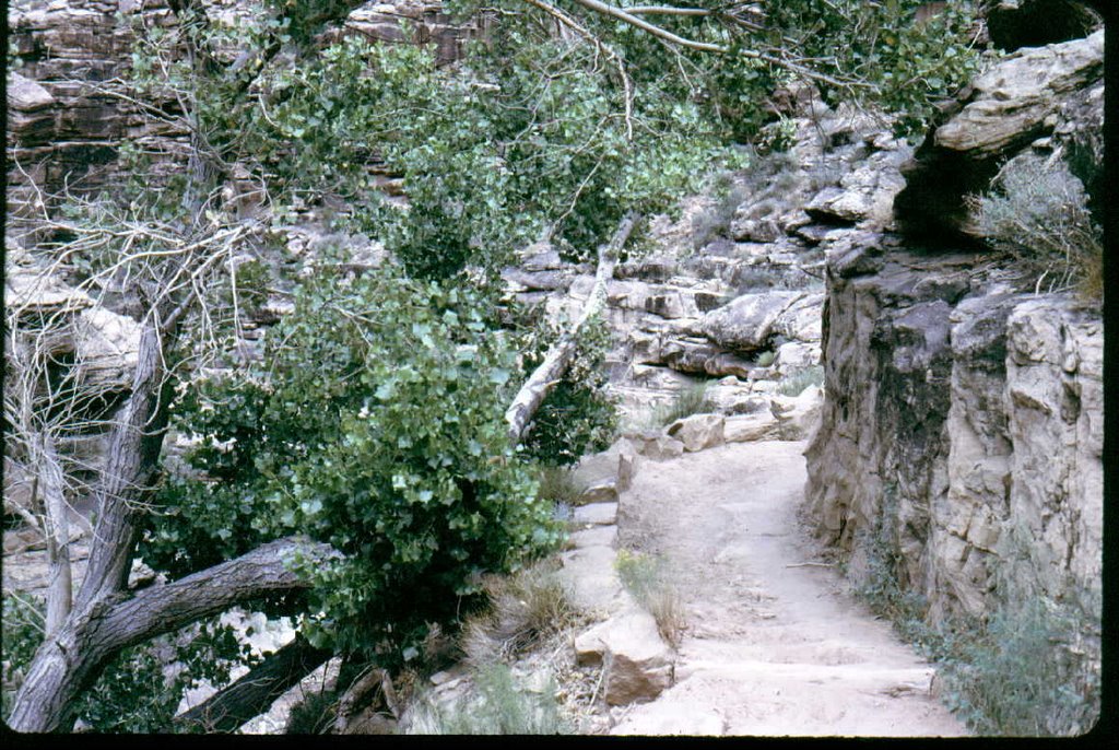 Canyon Narrows by Jerry Sturdivant