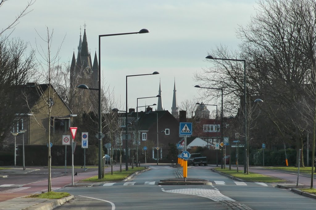 Ruys de Beerenbrouckstraat - Delft - 2011 by StevenL