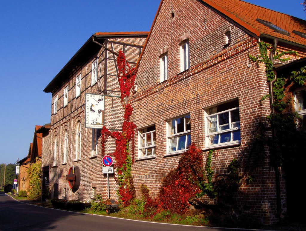 Landgasthof zum grünen Strand der Spree by zwickel