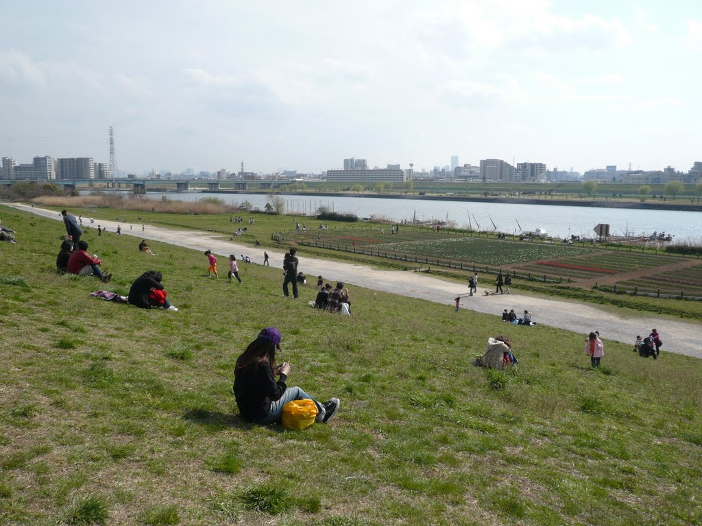 荒川 (東京都足立区) (Arakawa River, Adachi-ku, Tokyo, Japan) by scarbo