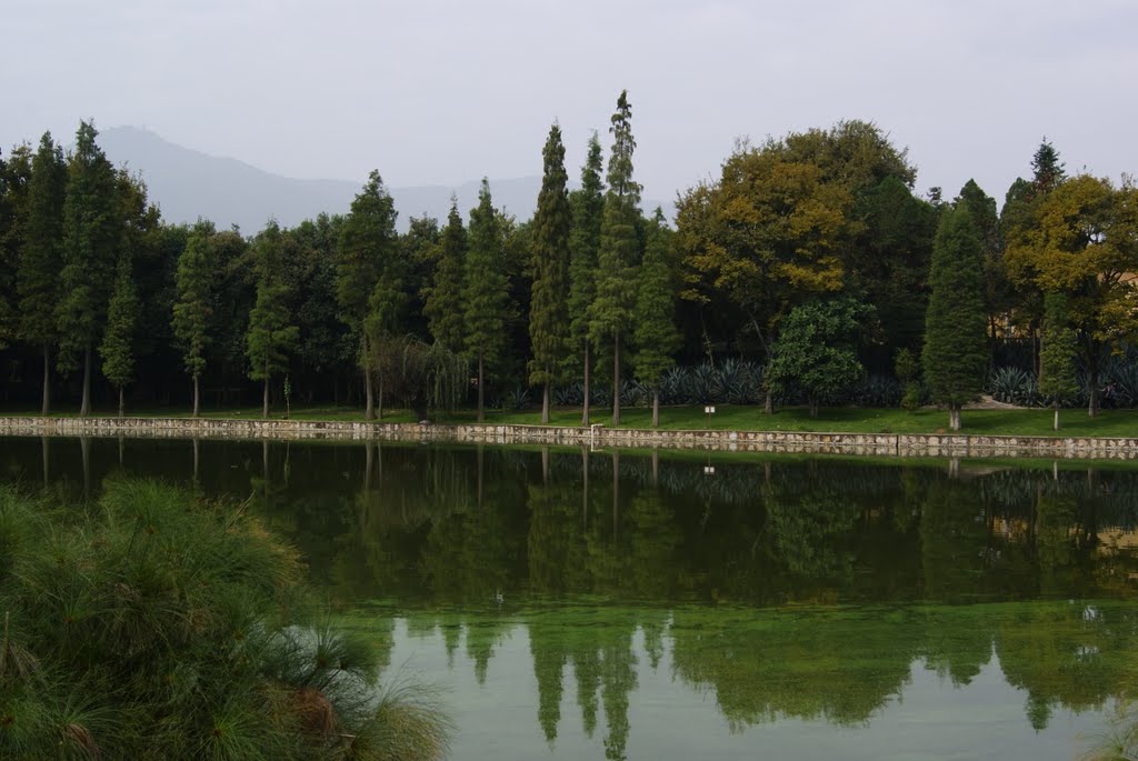 Lake in Minority Villages, 10/16/2010 / 人工湖 by Wester Van