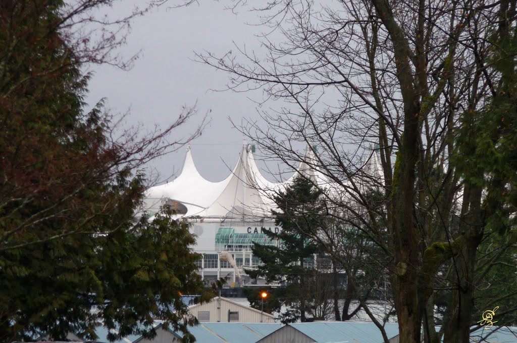 From Stanley Park by egzgallery