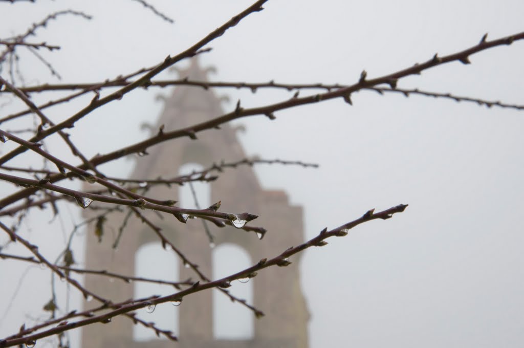 Monasterio de la Armedilla. Cogeces del Monte. Valladolid by gonzaluski