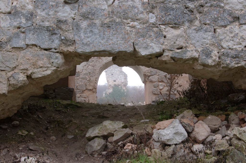 Monasterio de la Armedilla. Cogeces del Monte. Valladolid by gonzaluski