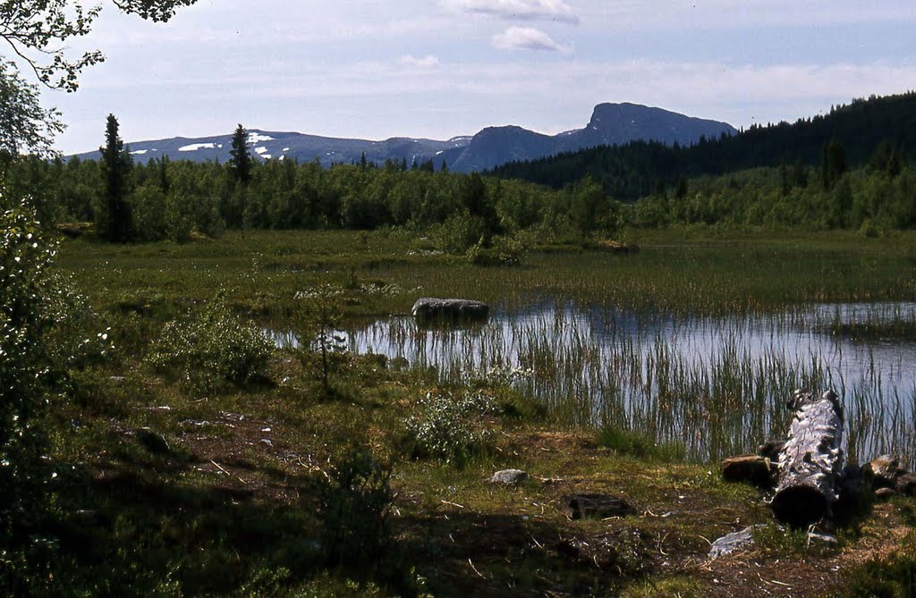 Hardangervidda, Noorwegen by Thysen Jean