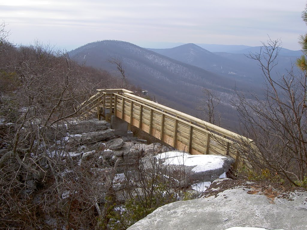 New Bridge Big Schloss by Gene Rhodes