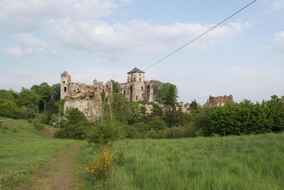 ZAMEK TENCZYN (RUDNO) by Łukasz Świetlik