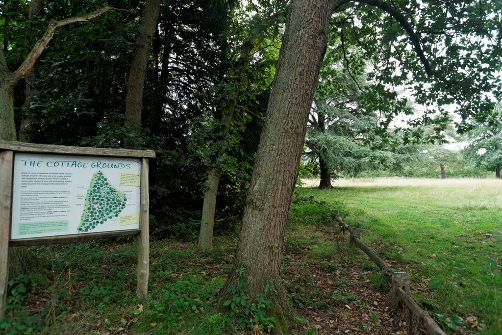 London - Kew Gardens - The Cottage Grounds - View West by txllxt TxllxT