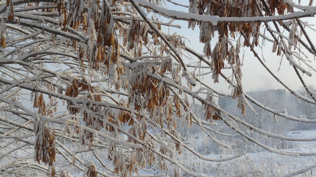 Kalininskiy rayon, Chelyabinsk, Chelyabinskaya oblast', Russia by Katrus