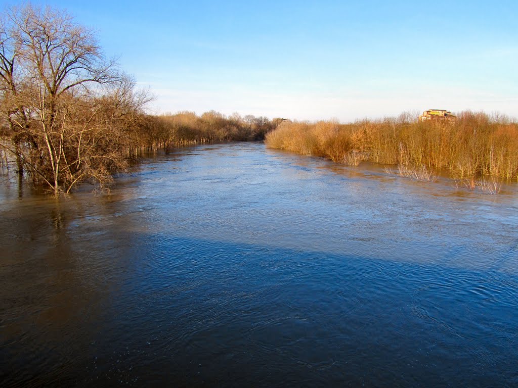 Saale führt Hochwasser by Hanni Ball