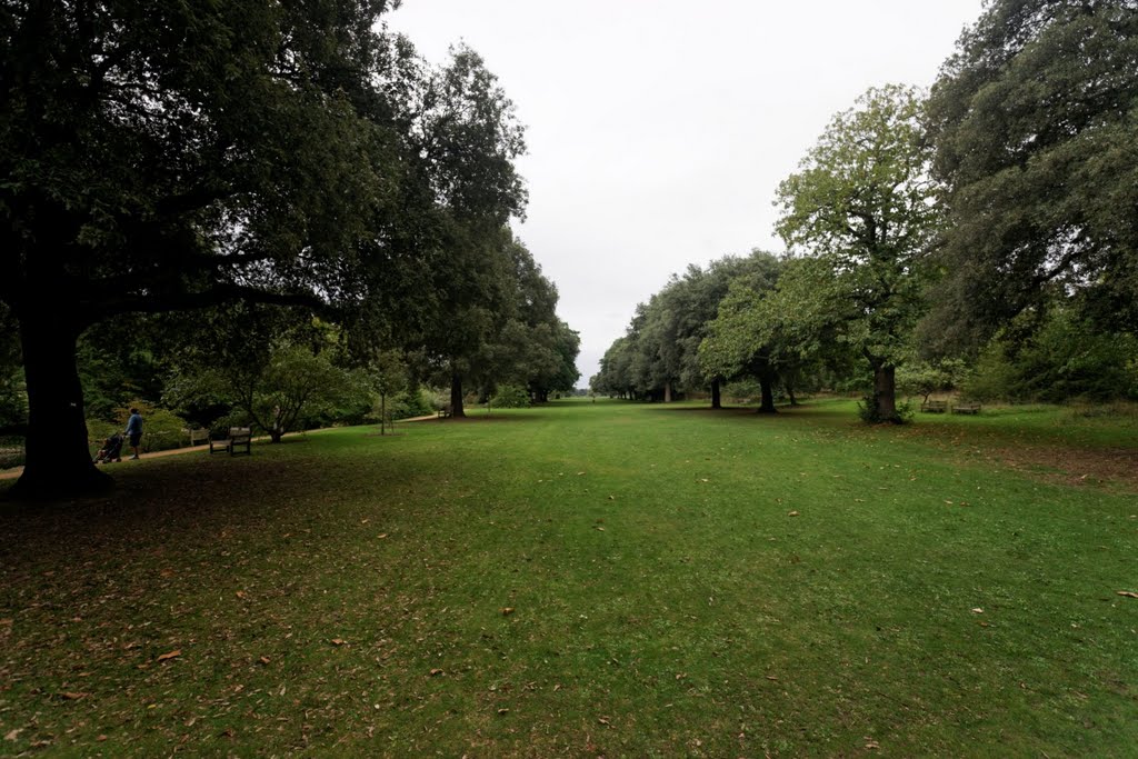 London - Kew Gardens - Syon Vista - View WSW by txllxt TxllxT