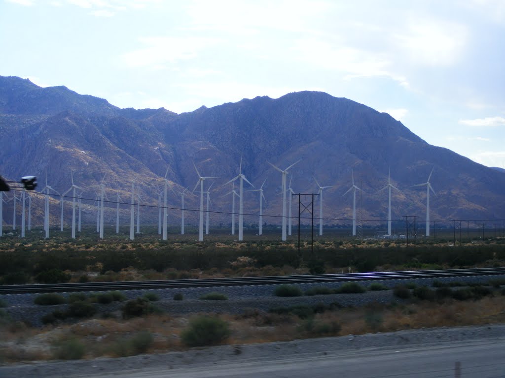 San Jacinto windmills by David Gurl