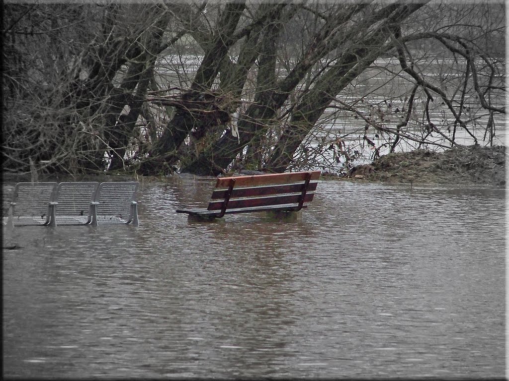 Eine Bank im Hochwasser by S.Achenbach pictures