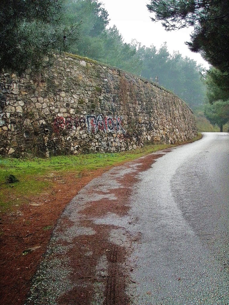 Σέρρες 62100 - Διαδρομή προς την Ακρόπολη Σερρών by Vangelis Ionas