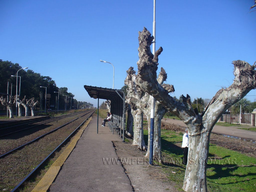 Estación La Fraternidad - www.ferrylanus.com.ar by ferrylanus