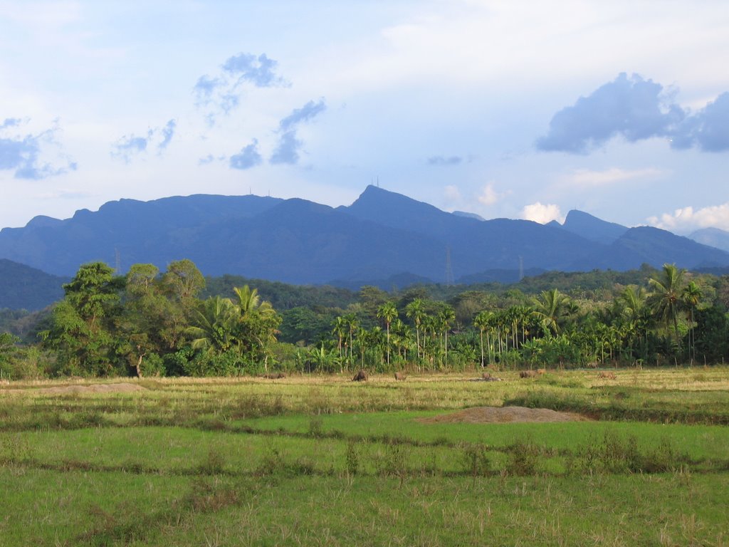 Knuckles Mountain Range, seen from Nalanda by canopus