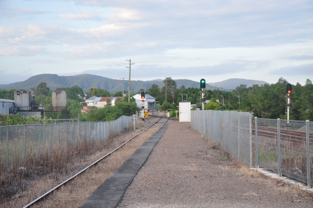 Dungog by lighthorse