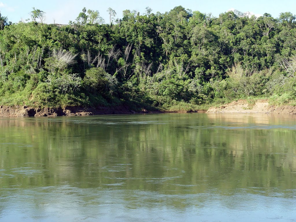 Rivera Rio Paraná by Alvaro Espinel