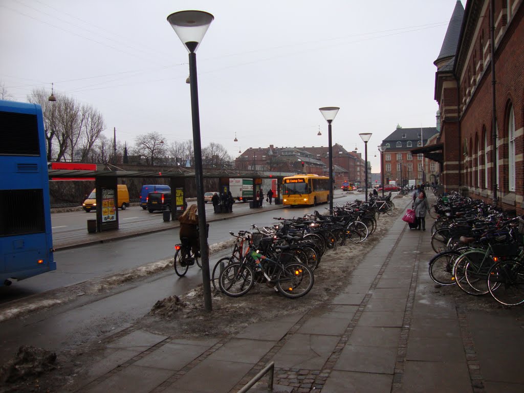 Busterminalen på Hovedbanegården by chrmt