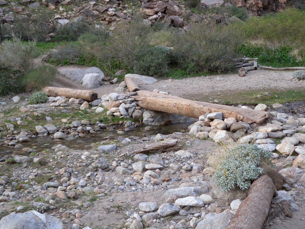 Anza Borrego Palm Oasis Trail, Log Crossing +ds by dseemiller