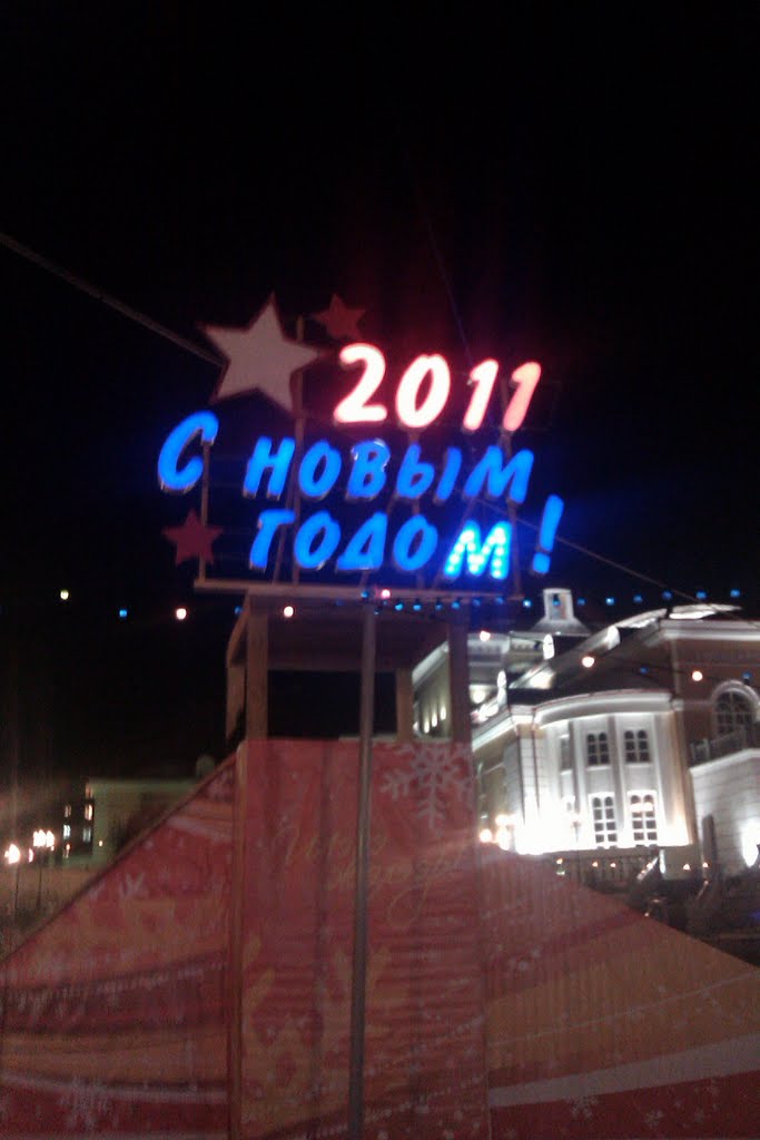 С Новым 2011 годом!! by SChP