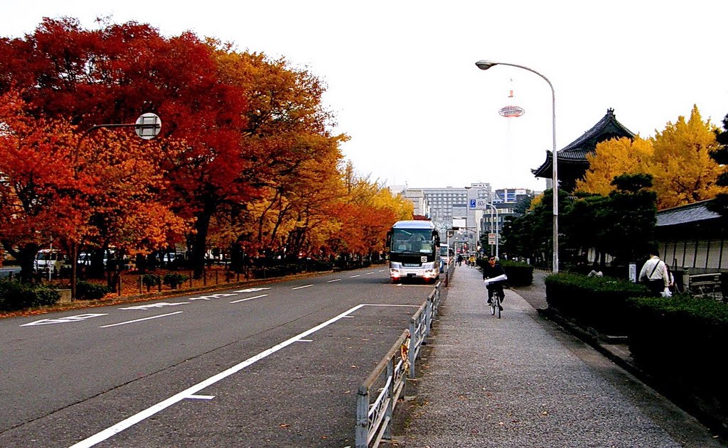 京都 東本願寺 望 TV塔 JR京都駅 by Percy Tai  漆園童