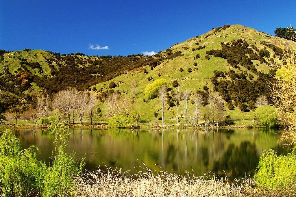 Lake Tutira by RedPigHarry