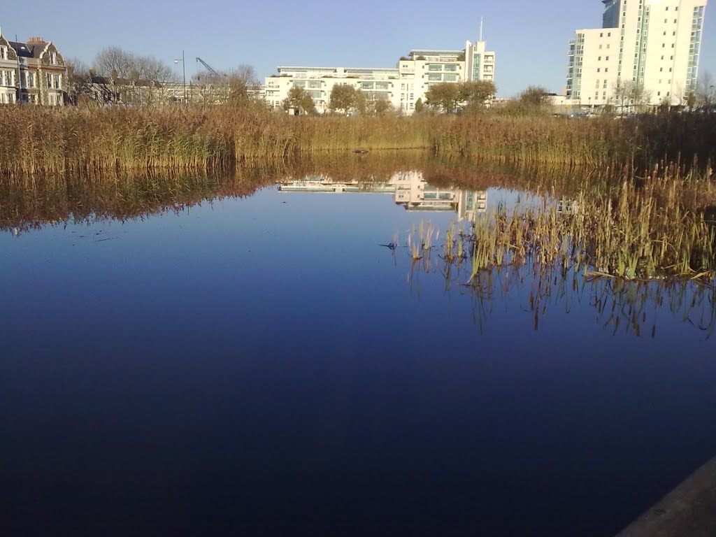 Reflections in Cardiff Bay by david thomas