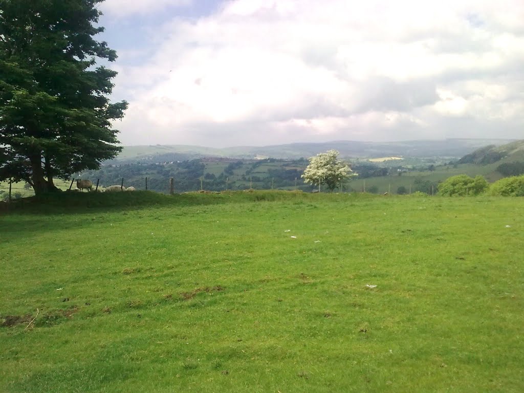 Llangeimor June looking west by david thomas