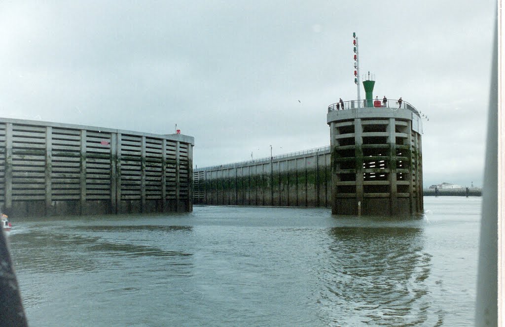 Indication of tidal range in tide marks by chickenlegs