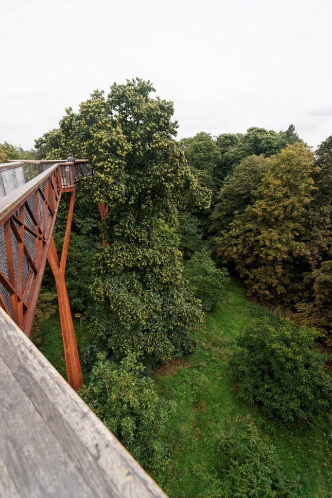 London - Kew Gardens - Xstrata Treetop Walkway 2008 by txllxt TxllxT